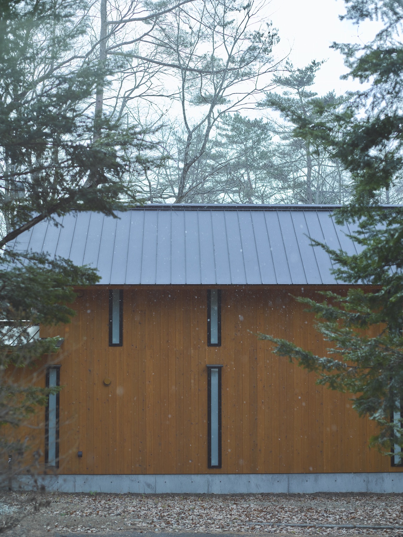 葉音の森小屋 Morinoie モリノイエ