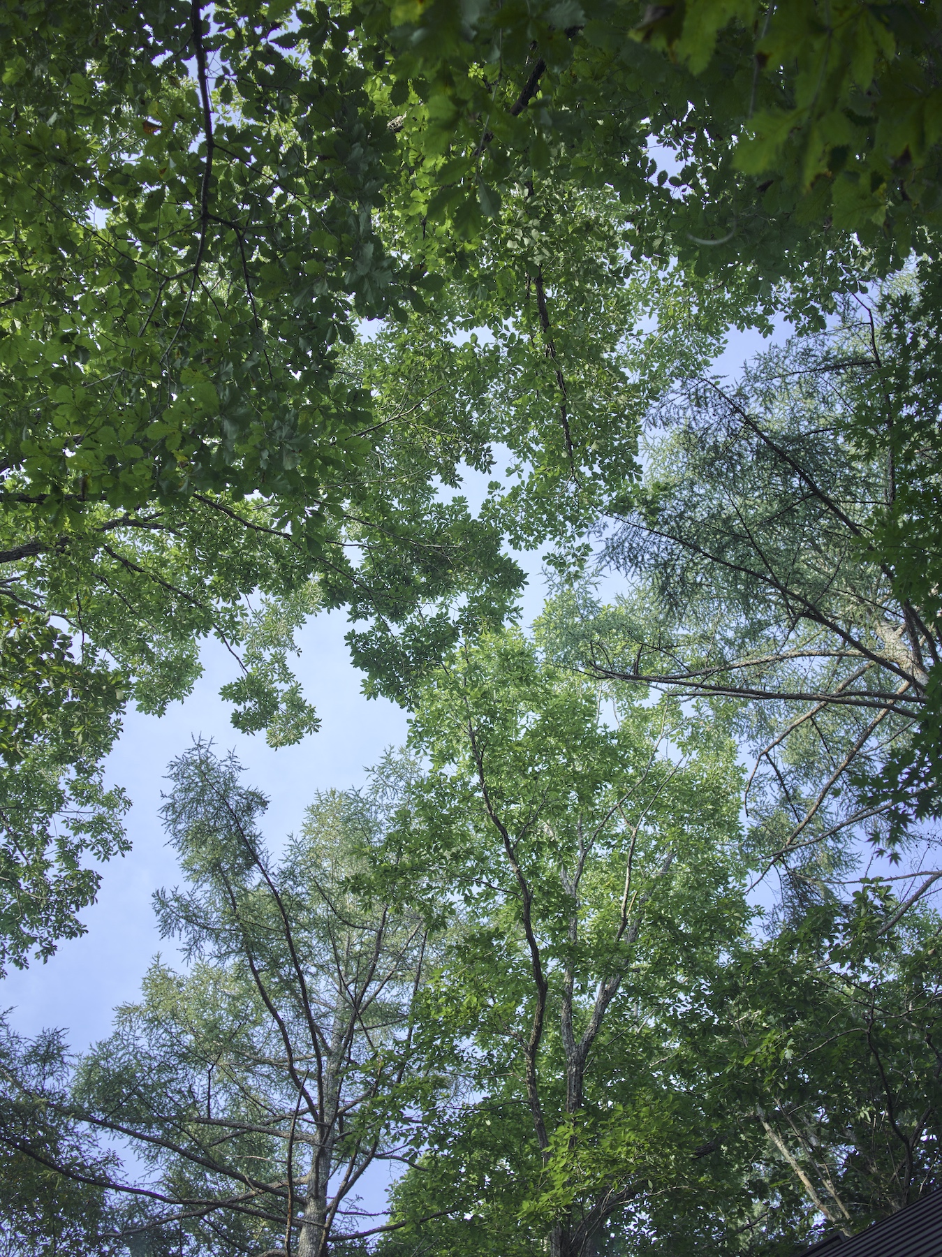 三角屋根の小屋 | morinoie / モリノイエ